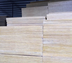 建築91视频免费APP