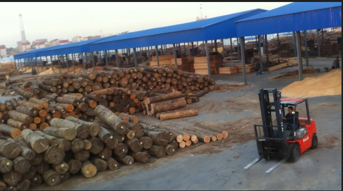 建築91视频专区免费看加工廠.png